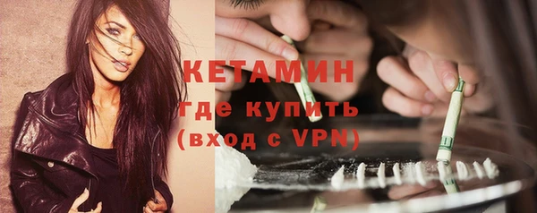 прущие грибы Верея