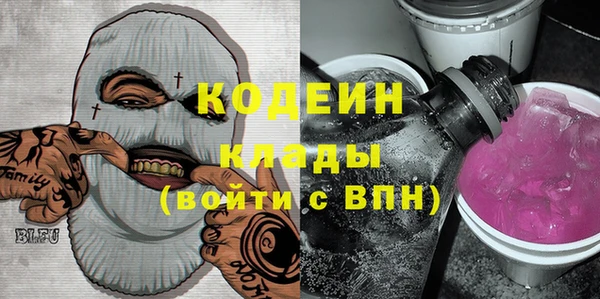 прущие грибы Верея