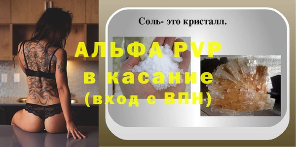 прущие грибы Верея