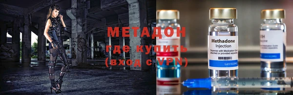 прущие грибы Верея