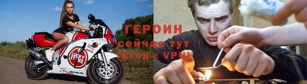 прущие грибы Верея