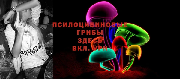 прущие грибы Верея
