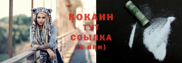 прущие грибы Верея