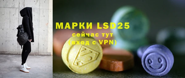 прущие грибы Верея
