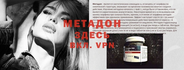 прущие грибы Верея