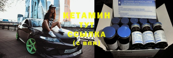 прущие грибы Верея