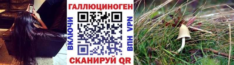 Псилоцибиновые грибы Magic Shrooms  Раменское 